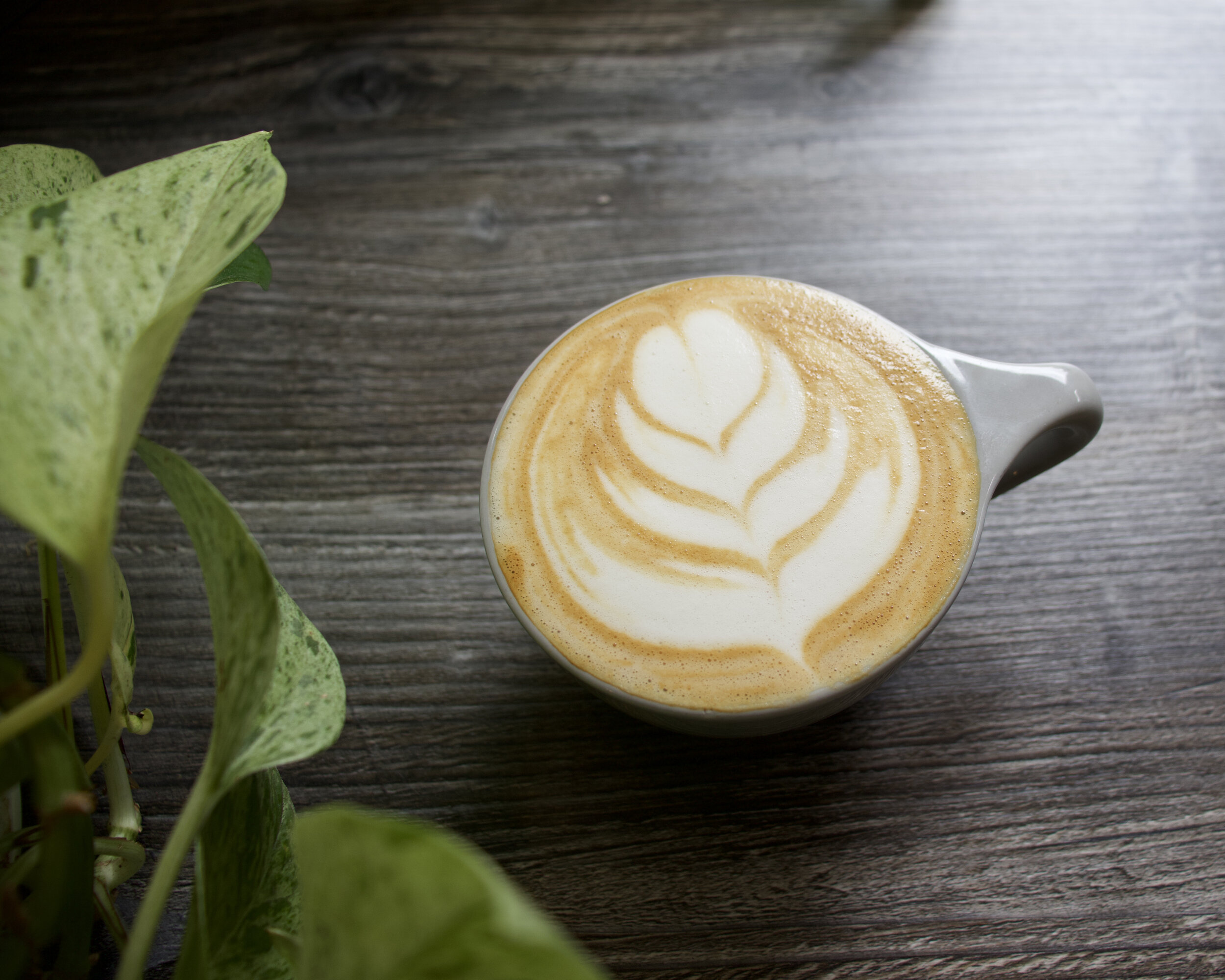 cappuccino 02.jpeg
