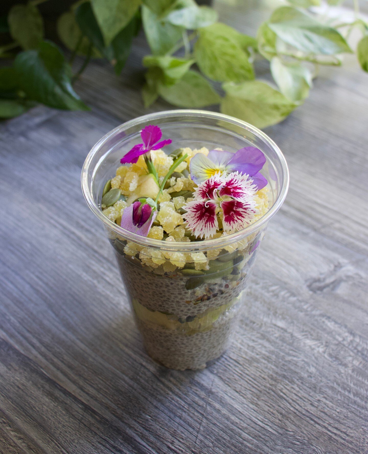 It's a great morning for Chia Porridge⁠
⁠
Ours is made with Agave-coconut cream soaked chia seeds, seasonal fruit, pepitas and candied ginger.⁠
⁠
Stop by an enjoy today!⁠
⁠
⁠
⁠
⁠
#foxandfig #plantbased #vegan #vegancafe #chia #chiaseeds #chiaporridge