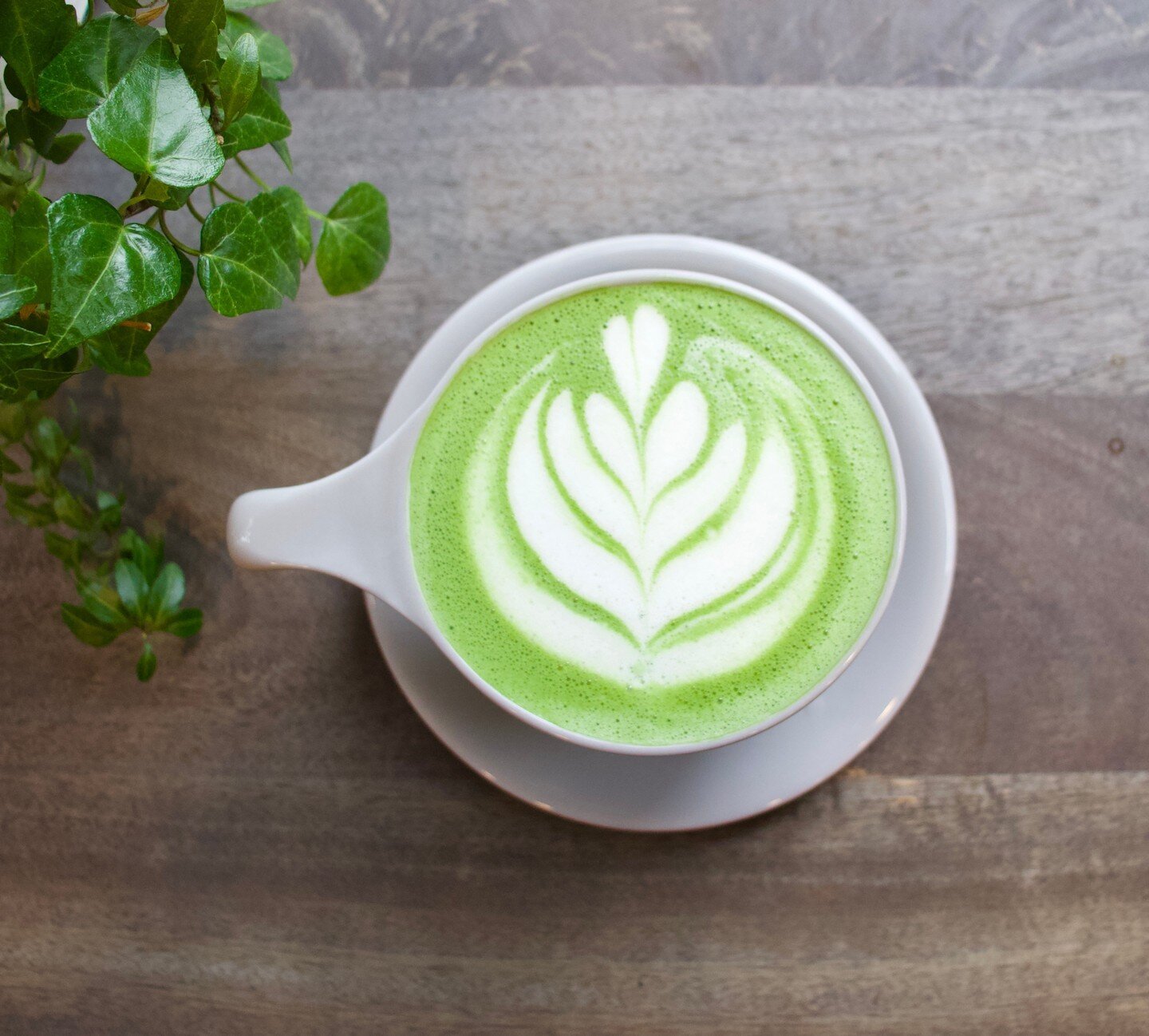 Make it a matcha morning.⁠
⁠
⁠
⁠
⁠
⁠
#foxandfig #plantbased #cafe #vegan #vegancafe #matcha #matchalatte #latteart #specialtycoffee #coffeeshop #savannah #visitsavannah #downtownsavannah