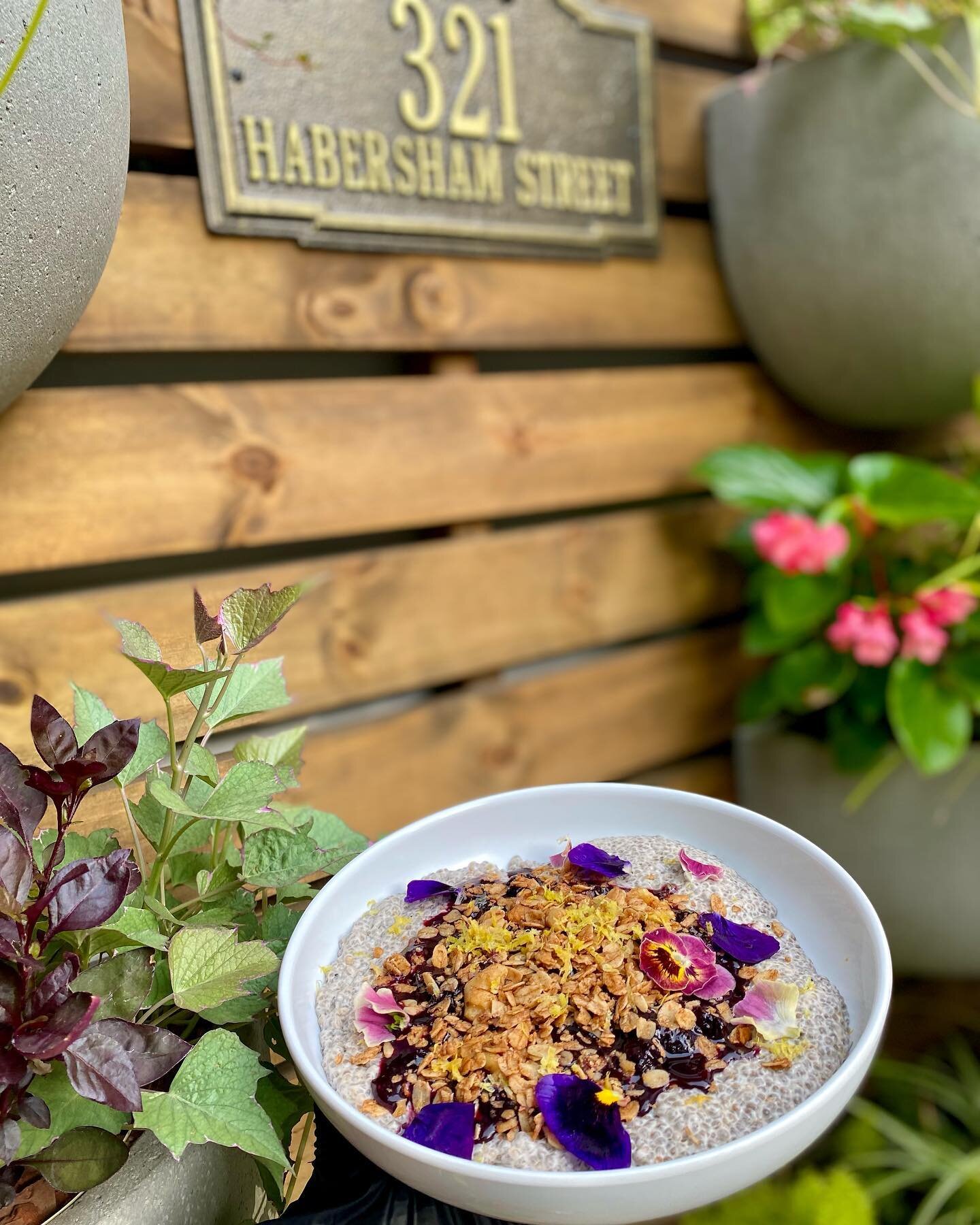 Come try our new chia of the month! Coriander chia porridge, blueberry compote, and walnut oat granola, topped with lemon zest🫐🍋 (Gluten-Free) 
#foxandfig #savannah #foxcafe #vegan #glutenfree #plantfood #crueltyfree #savannahrestaurants #plantbas